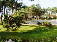 /album/galeria-de-fotos-home/gardens-12-jpg/